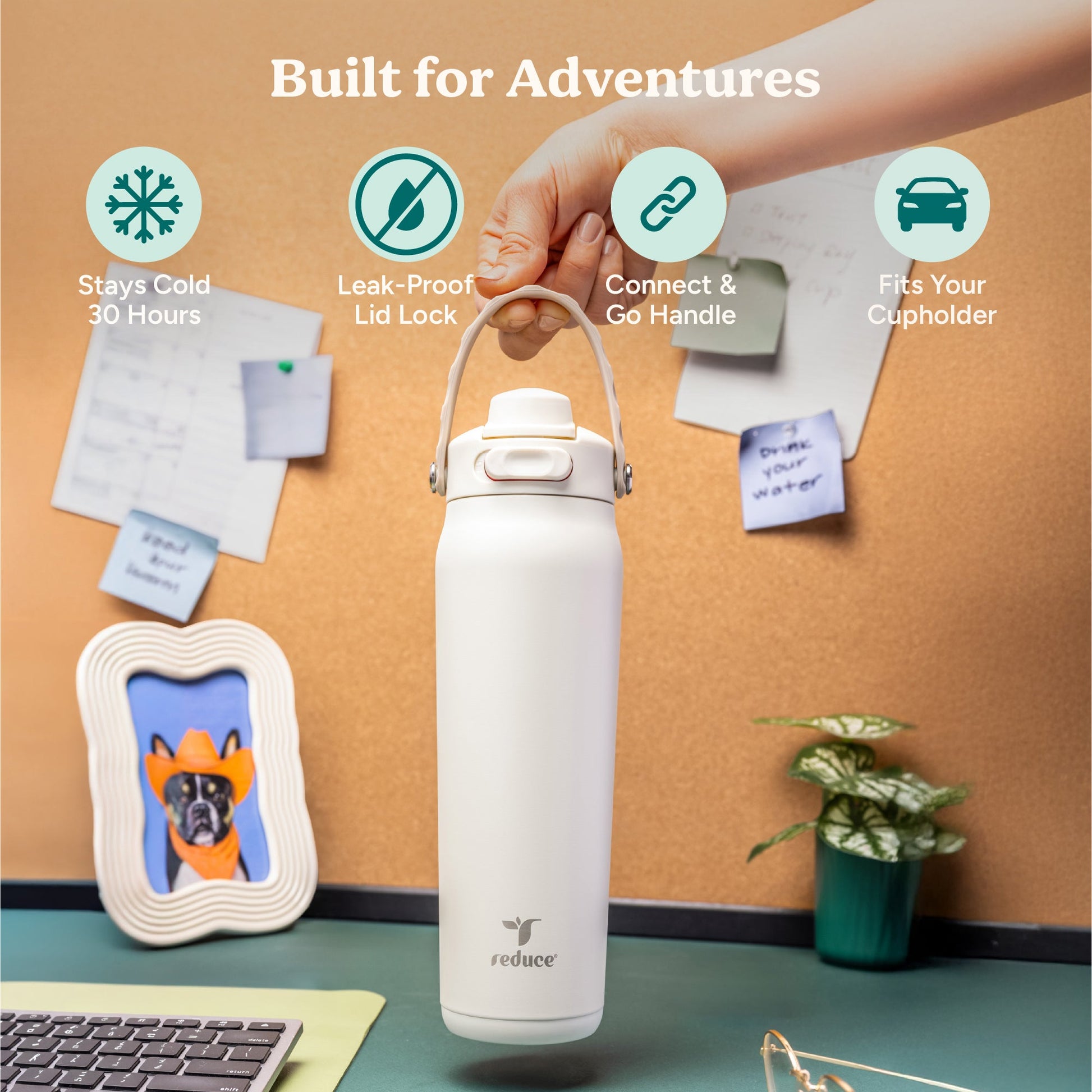 aura-26-oz-m1 Aura_26oz_Unbleached_PDP_Infographic_1.jpg