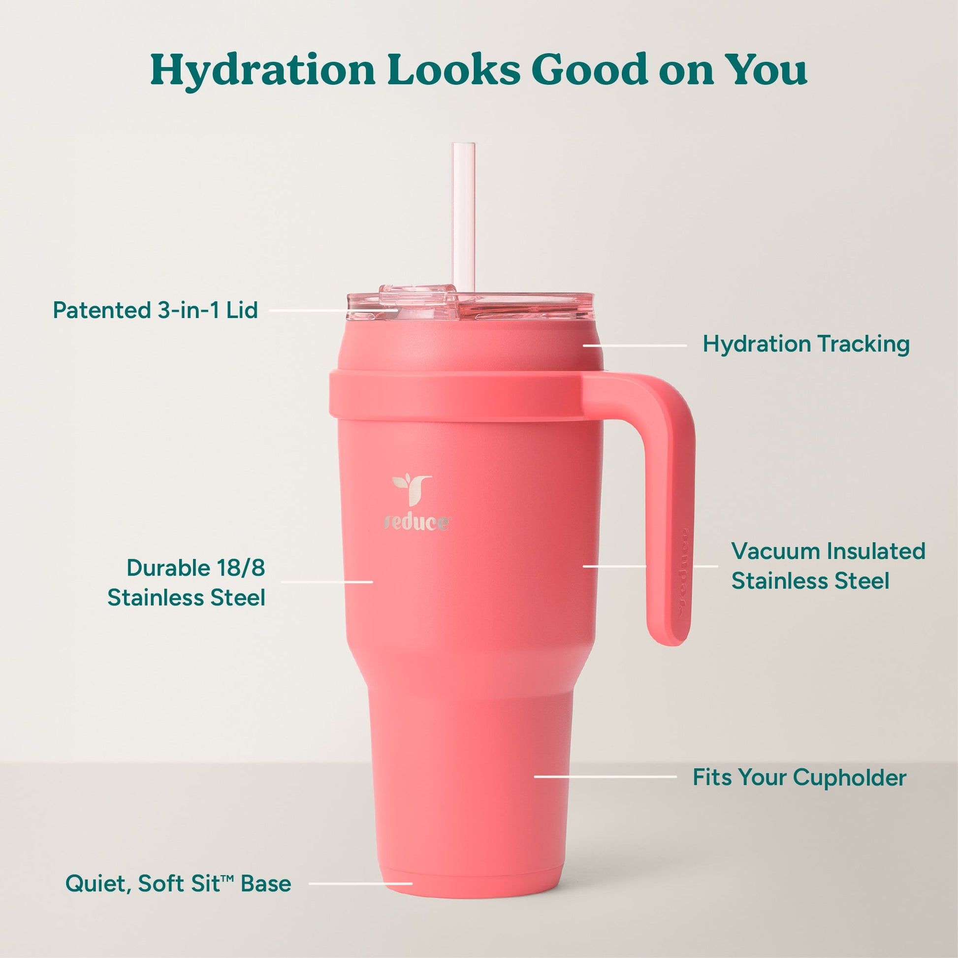 cold1-40-oz-w7 Cold1_40oz_Daiquiri_Infographic_2.jpg