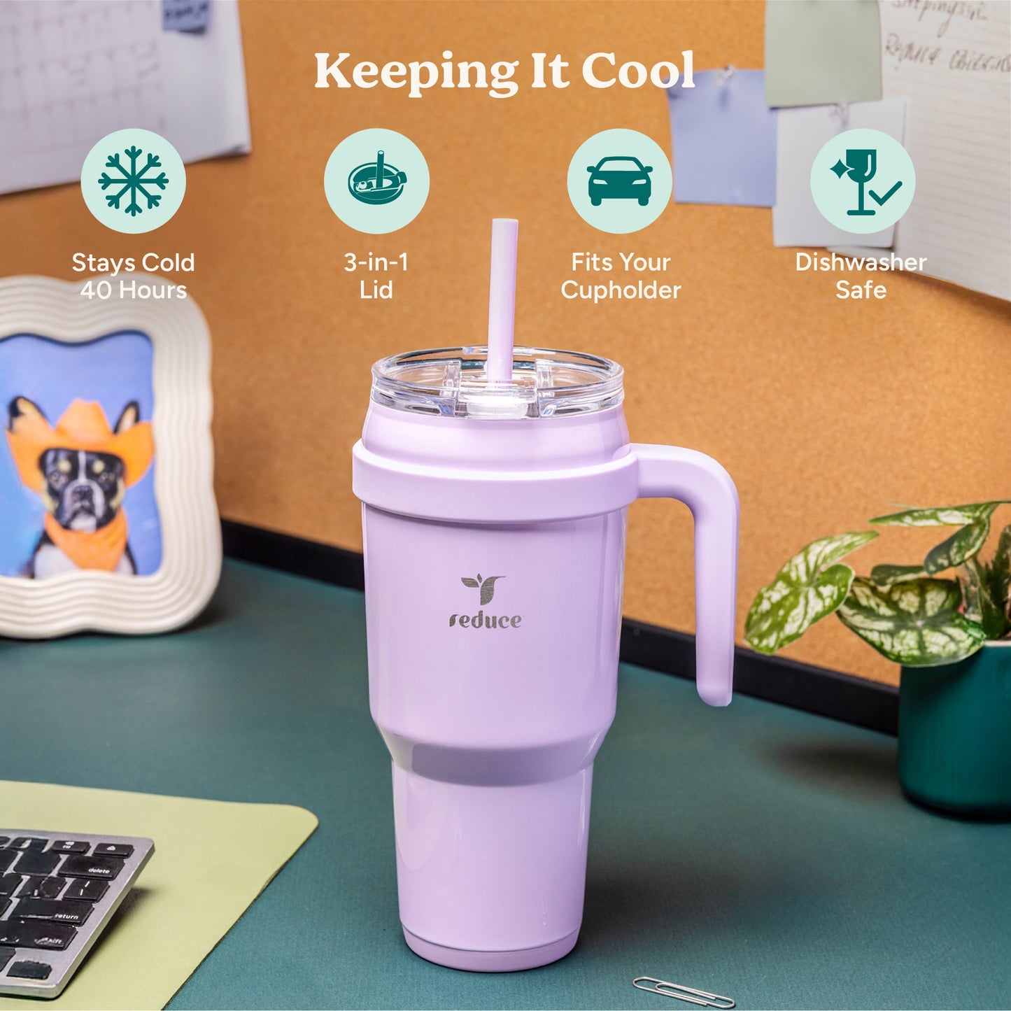 cold1-40-oz-w7 Cold1_40oz_DarkWeb_Infographic_1.jpg