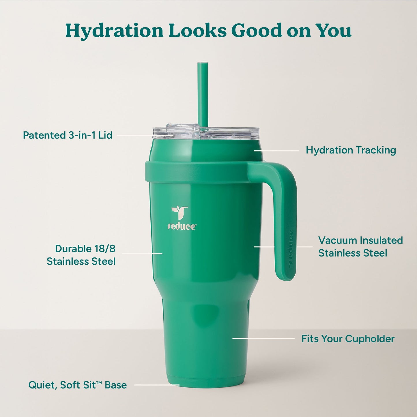cold1-40-oz-w7 Cold1_40oz_PalmLeaf_Infographic_2.jpg