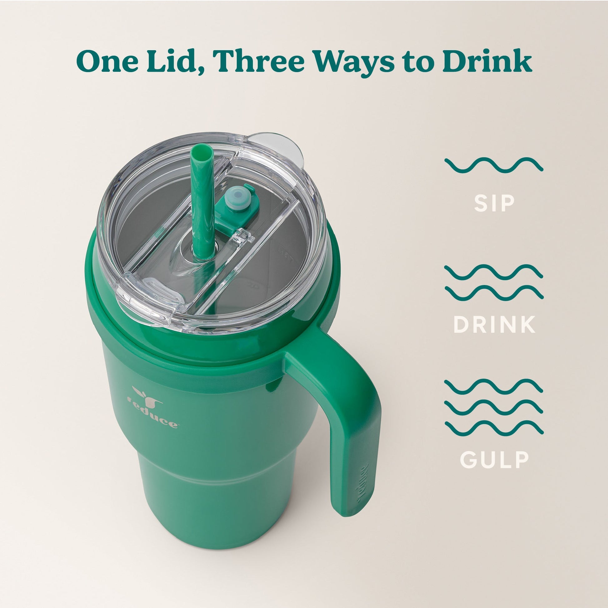 cold1-40-oz-w7 Cold1_40oz_PalmLeaf_Infographic_3.jpg