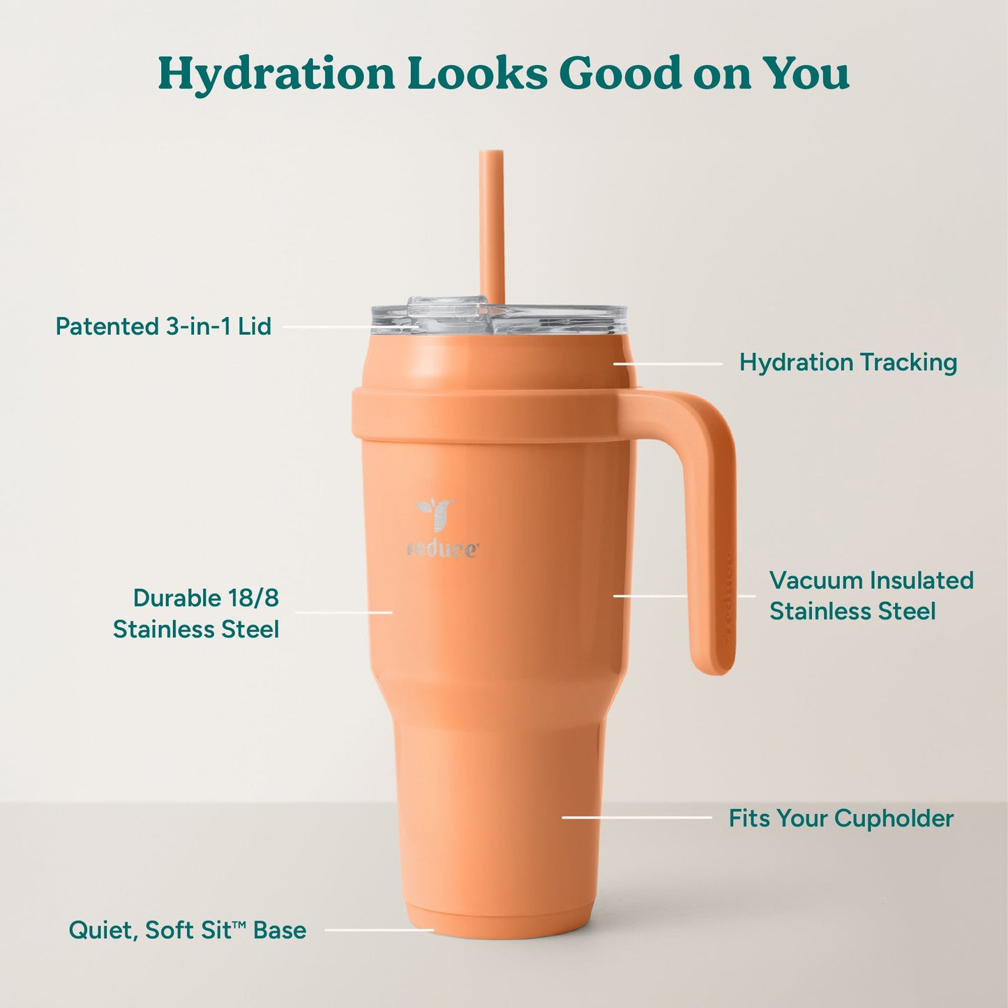 cold1-40-oz-w7 Cold1_40oz_Papaya_Infographic_2.jpg