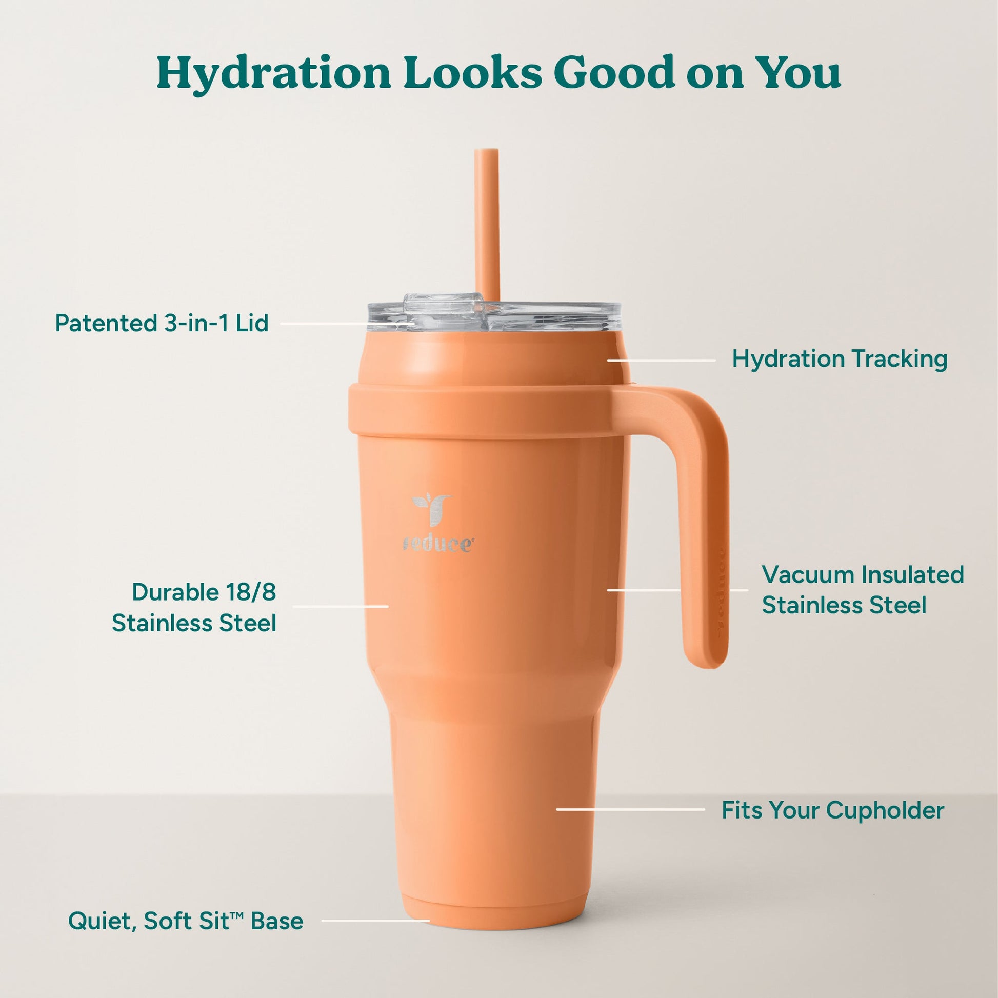 cold1-40-oz-w7 Cold1_40oz_Papaya_Infographic_2.jpg